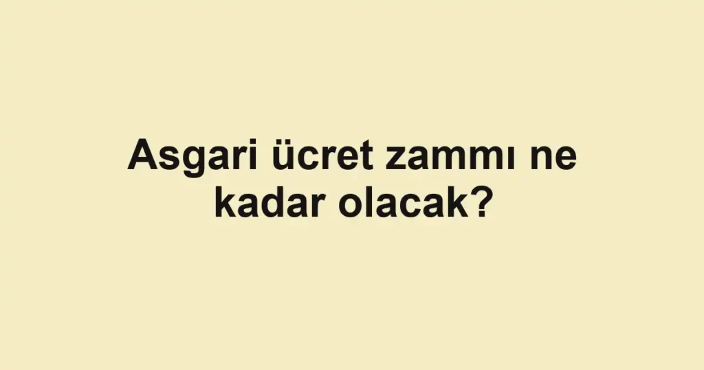 asgari-ucret-zammi-ne-kadar-olacak