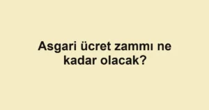 asgari-ucret-zammi-ne-kadar-olacak